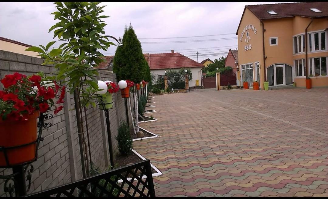 Pensiunea Sergiu & Geanina Arad Exterior foto